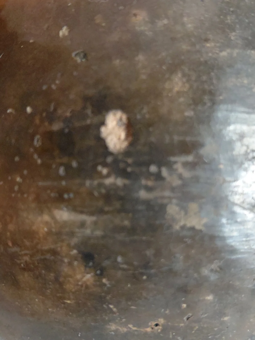 N/A unique rounded